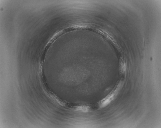 X0000078840168200611271331