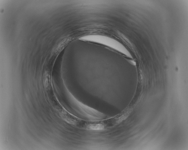 X0000078840169200611271331