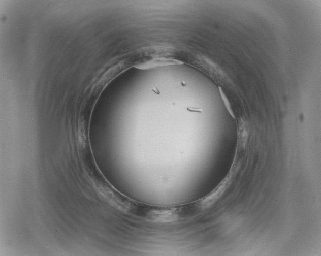 X0000078840170200611271331