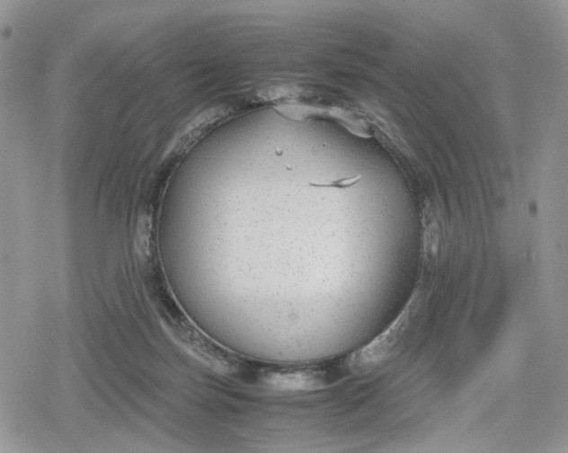 X0000078840171200611271331