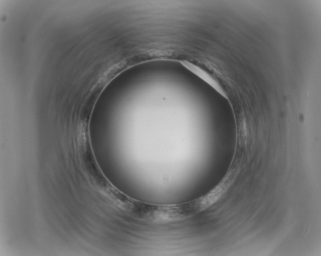 X0000078840172200611271331