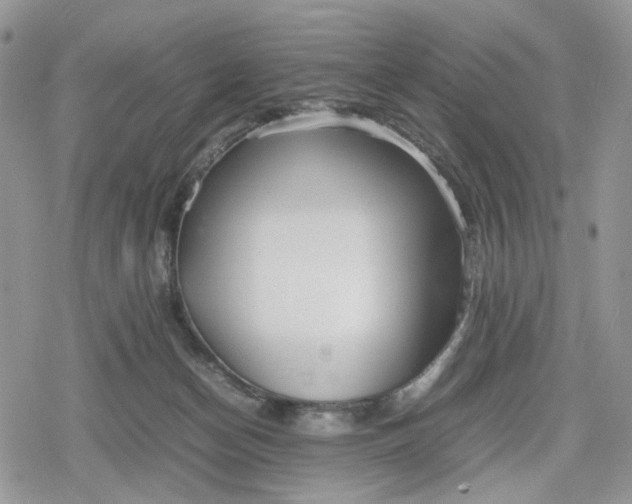 X0000078840174200611271331