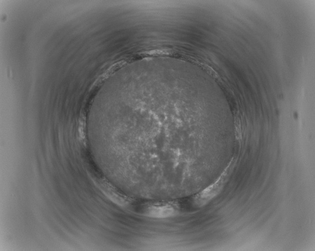 X0000078840175200611271331