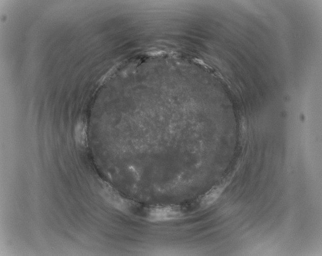 X0000078840177200611271331