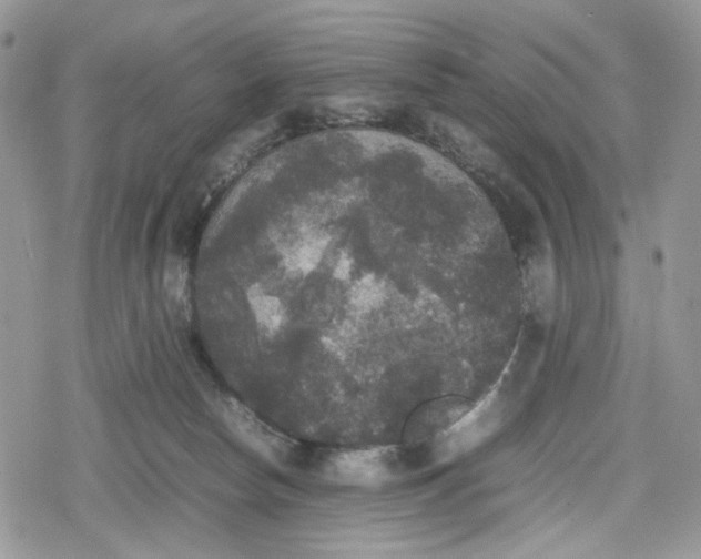 X0000078840178200611271331