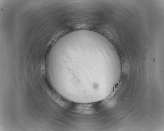 X0000078840179200611271331