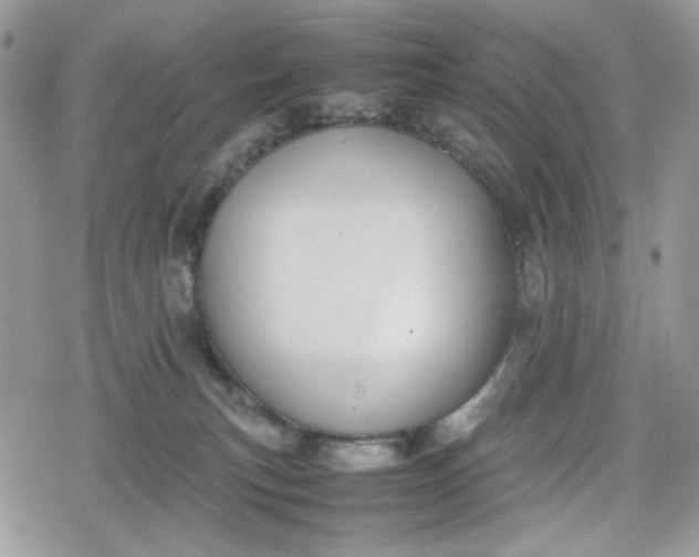 X0000078840183200611271331