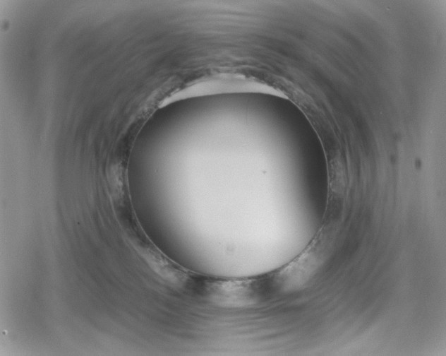 X0000078840184200611271331