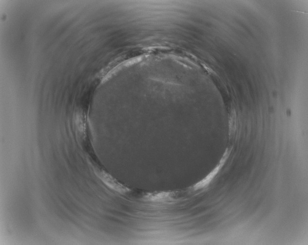 X0000078840186200611271331