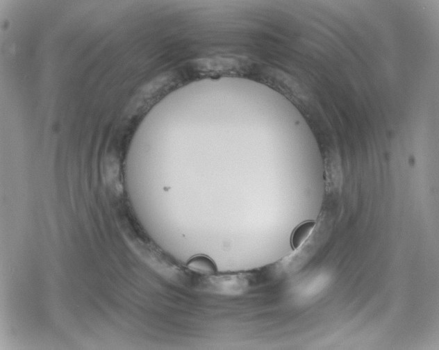 X0000078840187200611271331