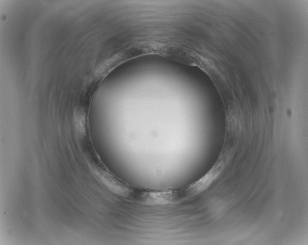 X0000078840188200611271331