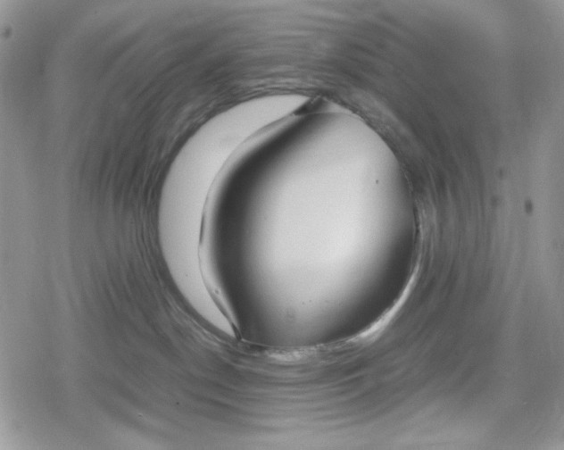 X0000078840190200611271331