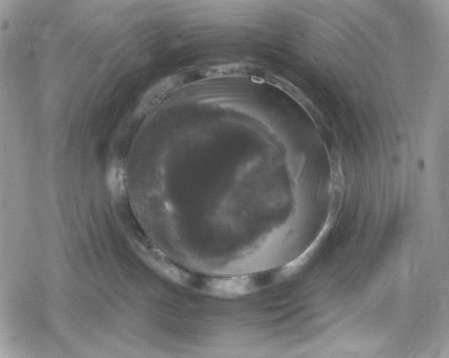 X0000078840191200611271331