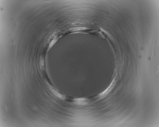 X0000078840192200611271331