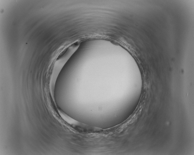 X0000078840193200611271330