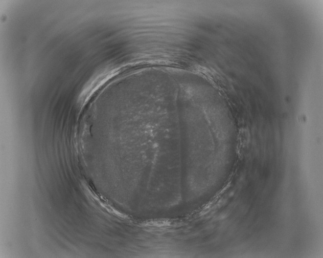 X0000078840194200611271330