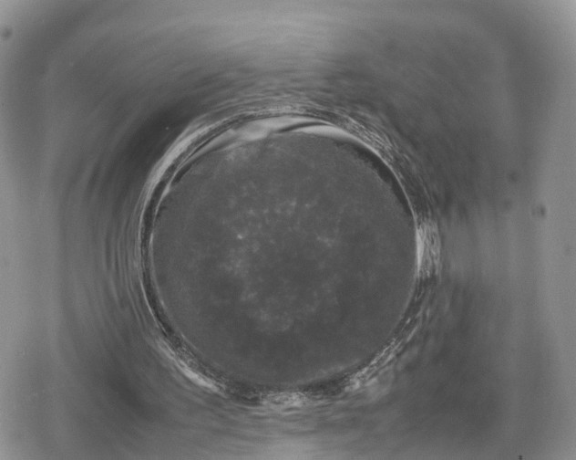 X0000078840195200611271330