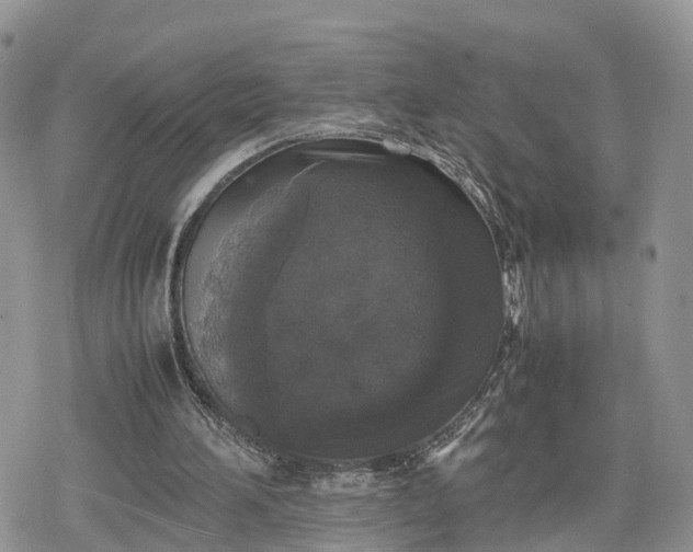 X0000078840196200611271330