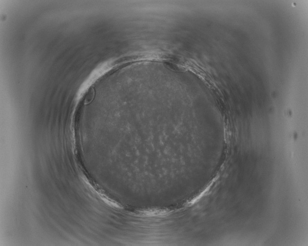 X0000078840198200611271330