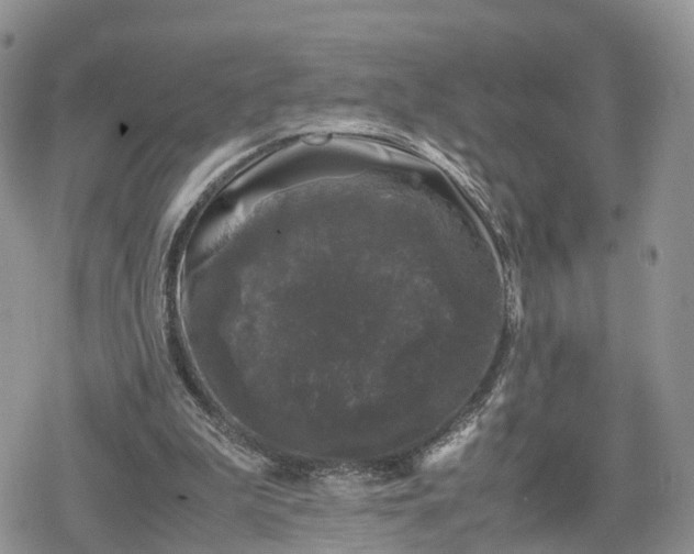 X0000078840199200611271330