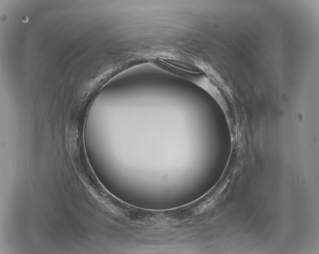 X0000078840201200611271330