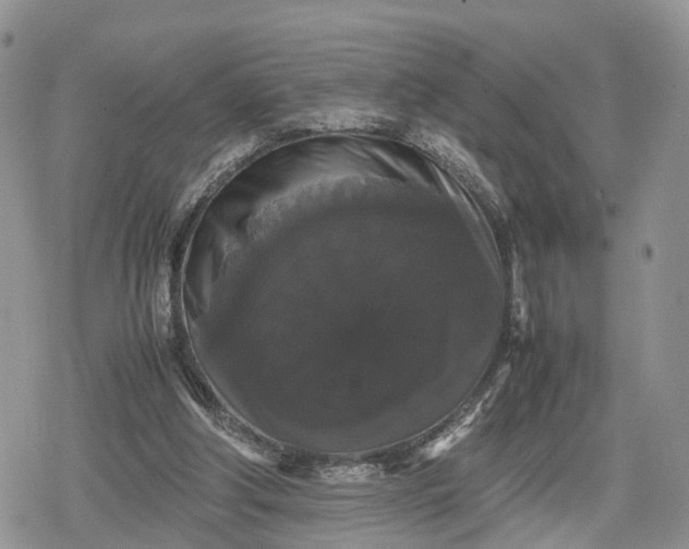 X0000078840202200611271330