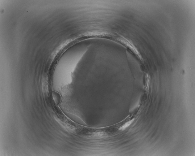 X0000078840204200611271330