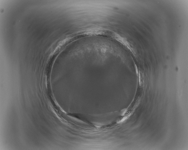 X0000078840205200611271330