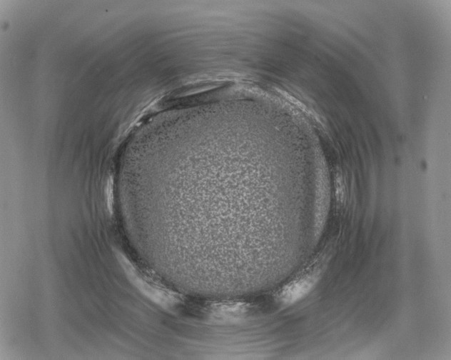 X0000078840206200611271330