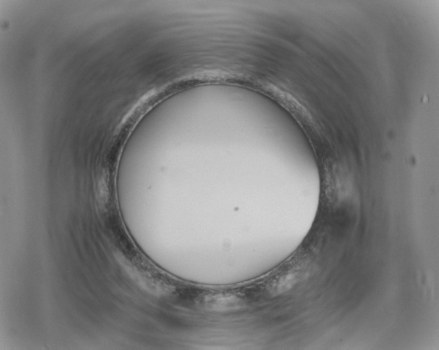 X0000078840208200611271330