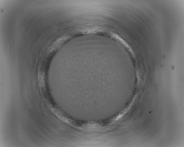 X0000078840209200611271330