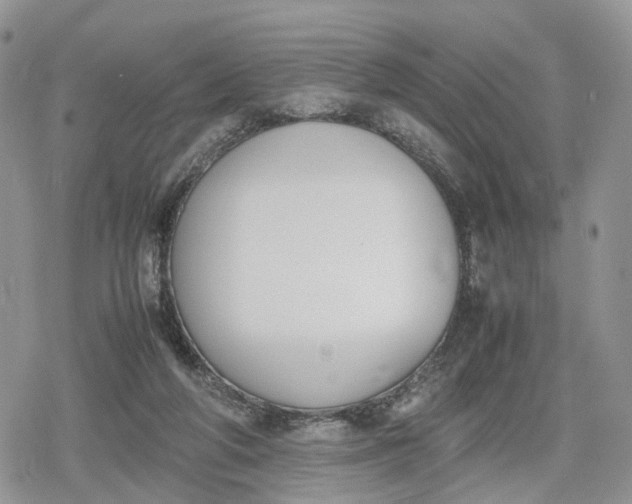 X0000078840210200611271330