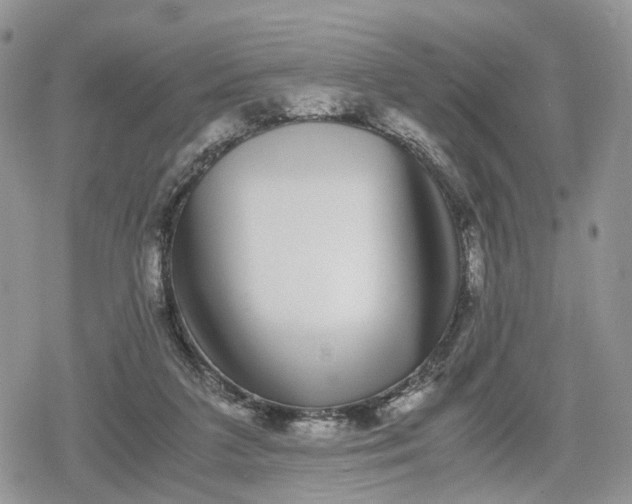 X0000078840211200611271330