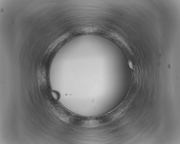 X0000078840212200611271330