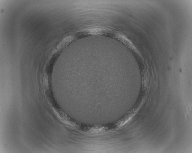 X0000078840213200611271330