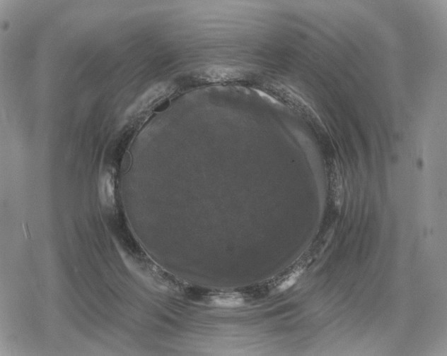 X0000078840214200611271330