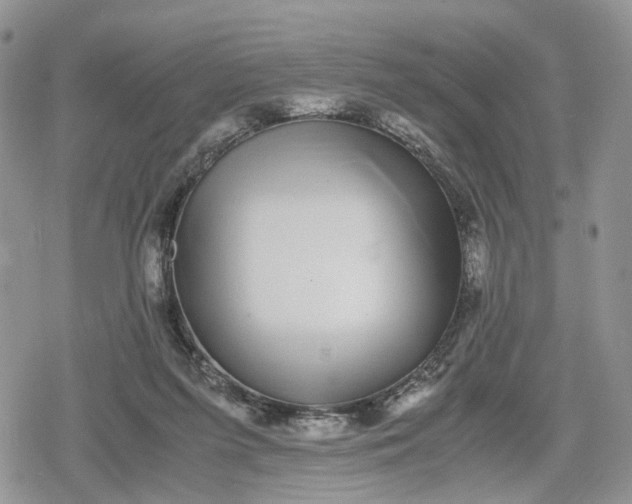 X0000078840215200611271330