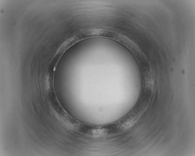 X0000078840216200611271330