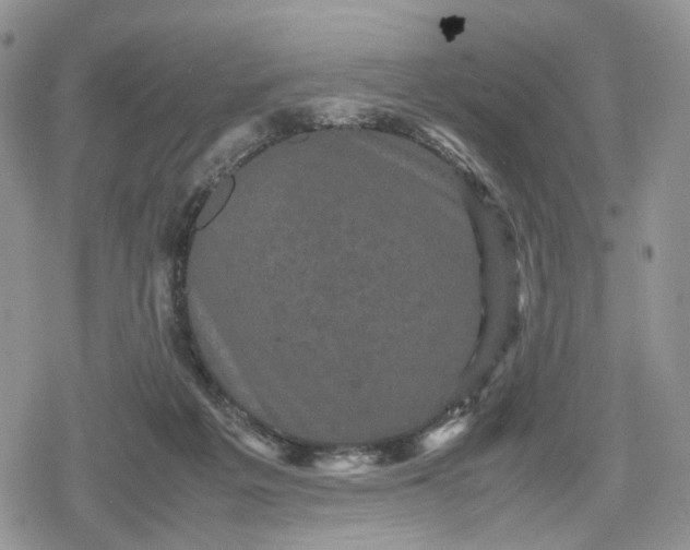 X0000078840217200611271330