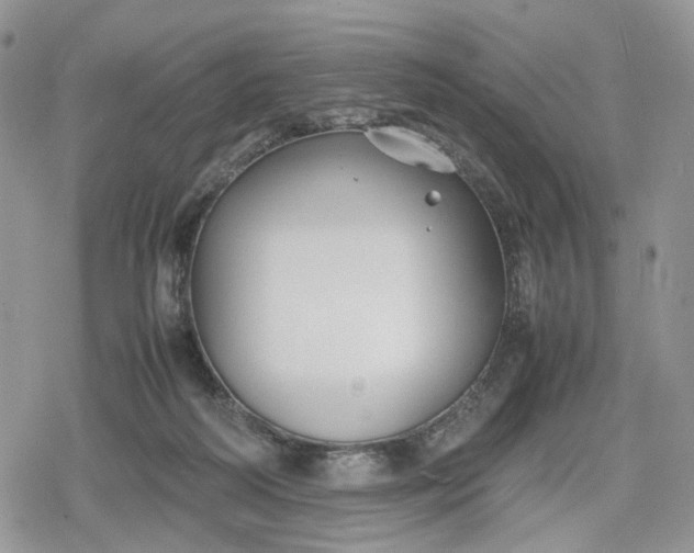 X0000078840218200611271330