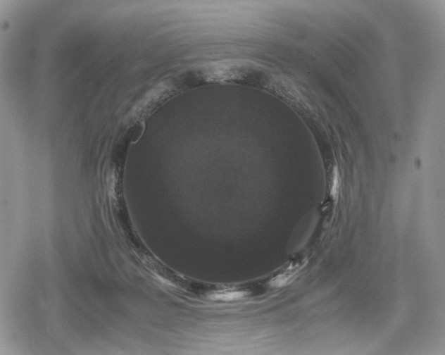 X0000078840219200611271330