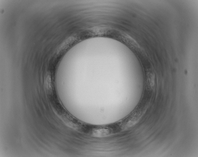 X0000078840220200611271330