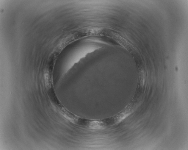 X0000078840222200611271330