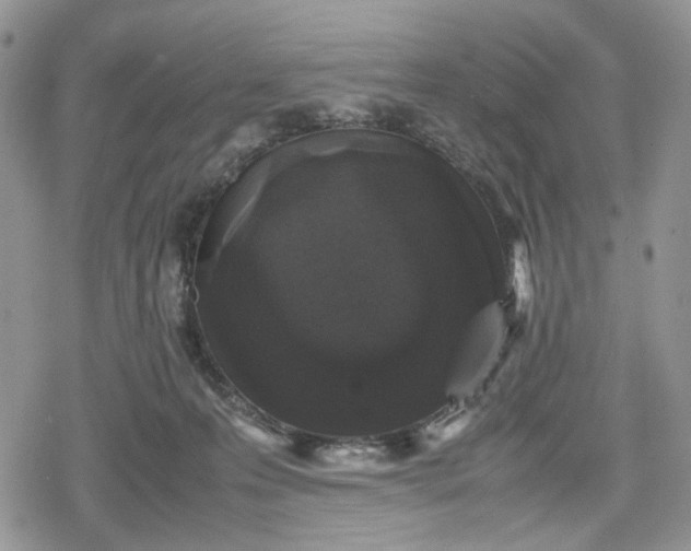 X0000078840223200611271330