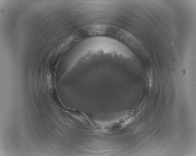 X0000078840224200611271330