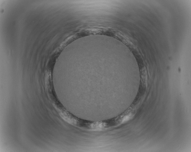 X0000078840225200611271330