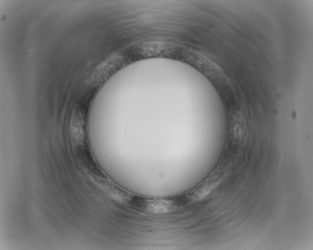 X0000078840226200611271330