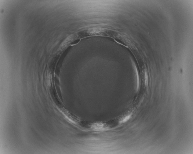 X0000078840227200611271330