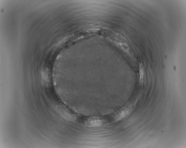 X0000078840228200611271330