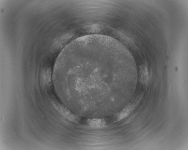 X0000078840230200611271330